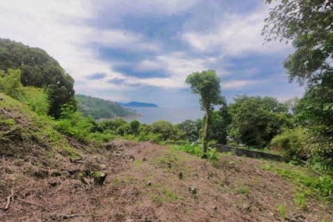 Terreno 3932 m2 en Kamala, Tailandia № 191250 - foto 10