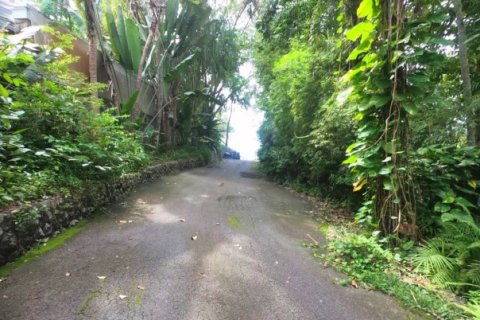 Terreno 3288 m2 en Kamala, Tailandia № 191249 - foto 4