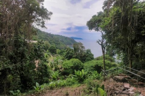 Terreno 3288 m2 en Kamala, Tailandia № 191249 - foto 6