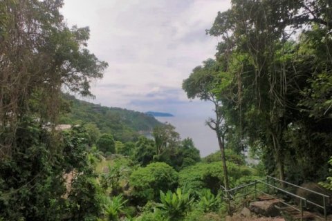 Terreno 3288 m2 en Kamala, Tailandia № 191249 - foto 12