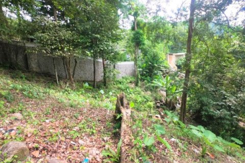 Terreno 3288 m2 en Kamala, Tailandia № 191249 - foto 8