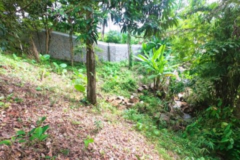 Terreno 3288 m2 en Kamala, Tailandia № 191249 - foto 10