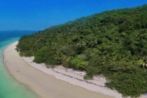 Land in Phang Nga, Thailand 441100 sq.m. № 191253 - photo 12