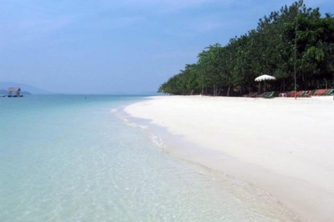 Land in Phang Nga, Thailand 441100 sq.m. № 191253 - photo 10