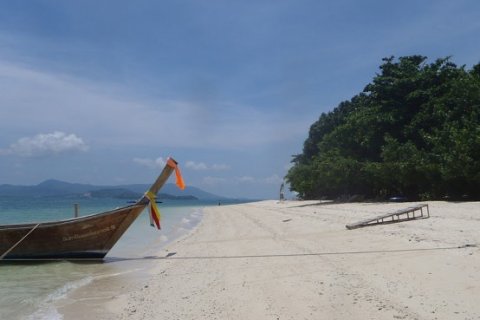 Land in Phang Nga, Thailand 441100 sq.m. № 191253 - photo 18