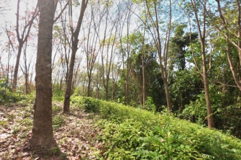 Terreno 58582 m2 en Pa Klok, Tailandia № 191248 - foto 19