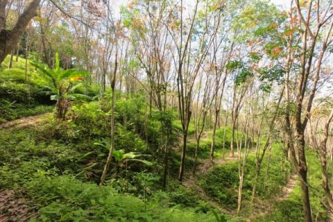 Terreno 58582 m2 en Pa Klok, Tailandia № 191248 - foto 12