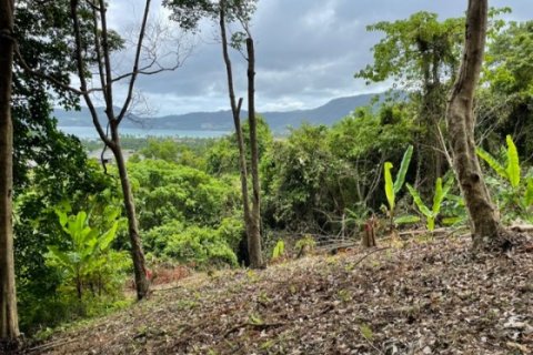 Land in Patong, Thailand 16495 sq.m. № 191252 - photo 7