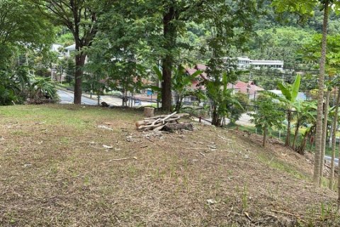 Land in Patong, Thailand 16495 sq.m. № 191252 - photo 8