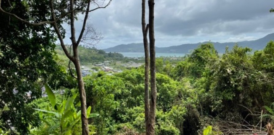 Land in Patong, Thailand 16495 sq.m. № 191252