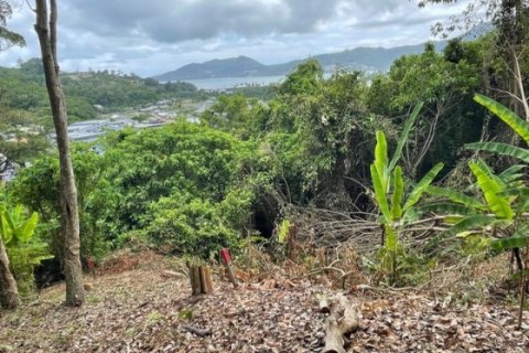 Land in Patong, Thailand 16495 sq.m. № 191252 - photo 2