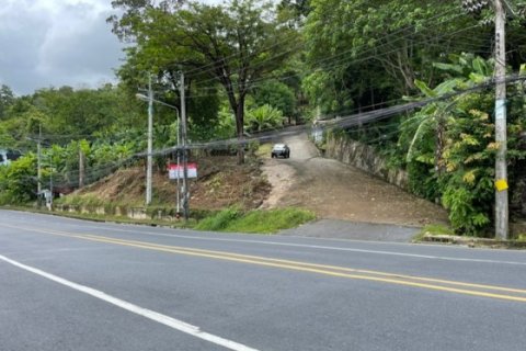 Land in Patong, Thailand 16495 sq.m. № 191252 - photo 3