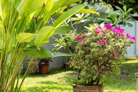 Casa de 4 dormitorios en Chiang Mai, Tailandia № 153936 - foto 8