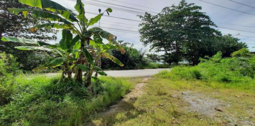 Grundstück in Krabi, Thailand 15766 m2 № 194021