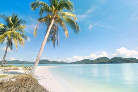 Terreno en Phuket, Tailandia № 180418 - foto 12