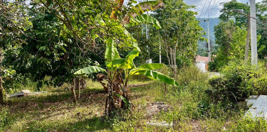 Terreno 923 m2 en Ko Samui, Tailandia № 180350