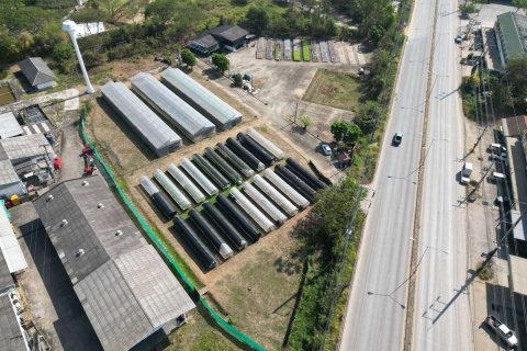Terreno en Chiang Mai, Tailandia № 175574