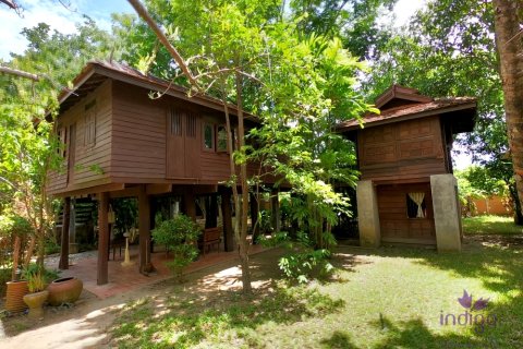 Maison à San Pa Tong, Thaïlande 4 chambres № 200374
