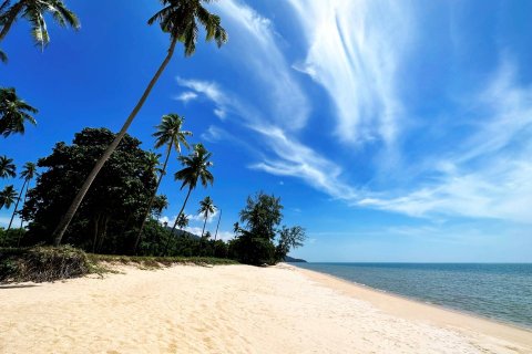 Haus in Nakhon Si Thammarat, Thailand 4 Schlafzimmer № 180607 - Foto 18