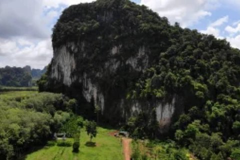 Villa in Krabi, Thailand 2 Schlafzimmer № 146915 - Foto 5