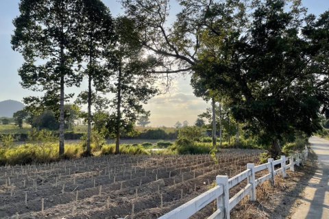 Terreno en Sattahip, Tailandia № 146835 - foto 4