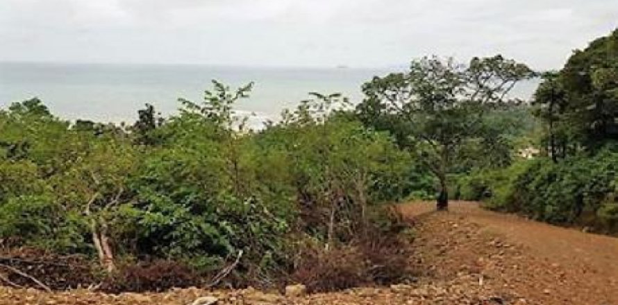 Terreno 55200 m2 en Ko Lanta Yai, Tailandia № 202647