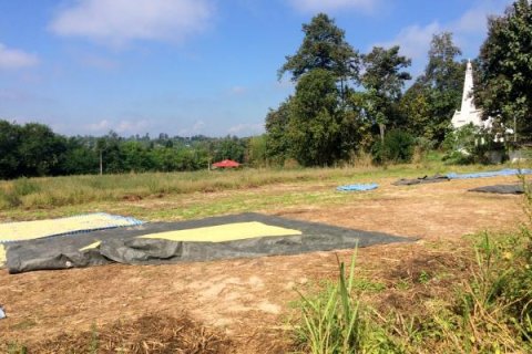 Terreno en Chiang Mai, Tailandia № 162473 - foto 2