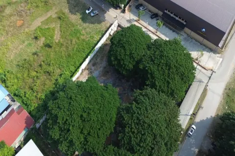 Terreno en Chiang Mai, Tailandia № 162792 - foto 12