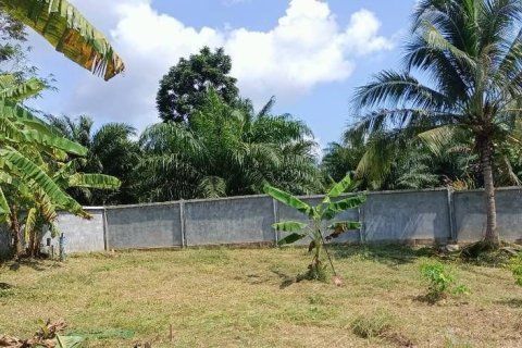 House in Phang Nga, Thailand 2 bedrooms № 173610 - photo 14