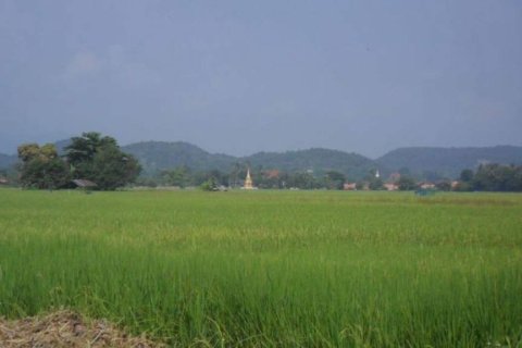 Terreno en Mae Rim, Tailandia № 146709 - foto 9