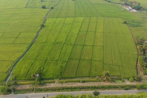 Земельный участок в Мае Риме, Таиланд  № 146709