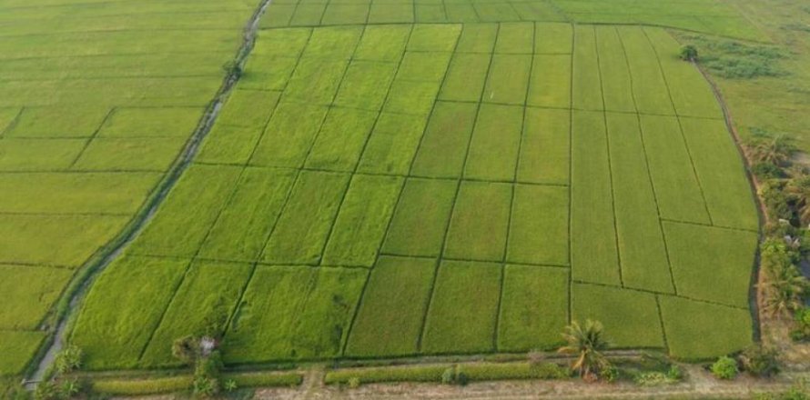 Terreno en Mae Rim, Tailandia № 146709