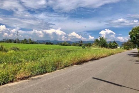 Terreno en Mae Rim, Tailandia № 146709 - foto 8