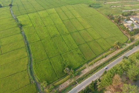 Terreno en Mae Rim, Tailandia № 146709 - foto 4