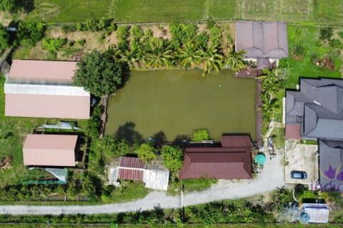 Haus in San Kamphaeng, Thailand 8 Schlafzimmer № 200280 - Foto 16