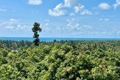 Grundstück in Ko Samui, Thailand 1600 m2 № 172456