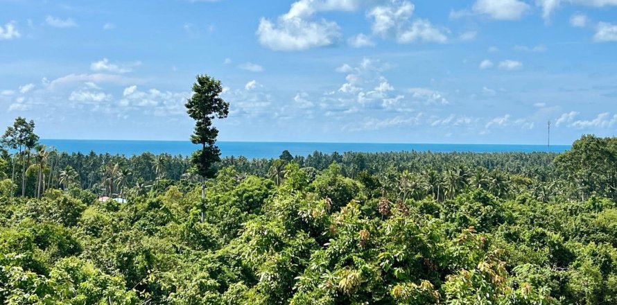 Terrain à Ko Samui, Thaïlande 1600 m2 № 172456