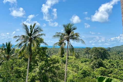 Terrain à Ko Samui, Thaïlande 1600 m2 № 172456 - photo 3