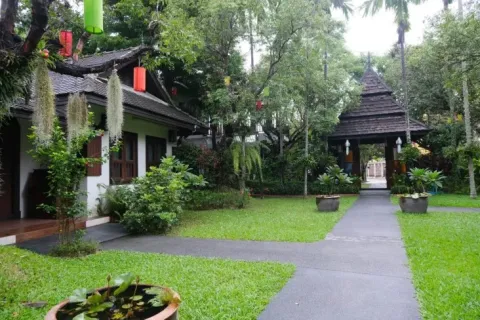 Local comercial 650 m2 en Chiang Mai, Tailandia № 162804 - foto 15