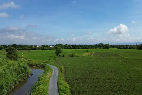 Terreno en Chiang Mai, Tailandia № 162802 - foto 3