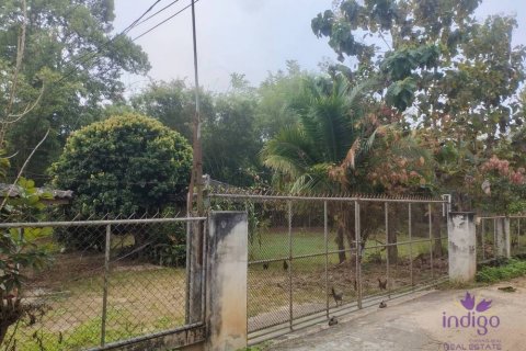 ที่ดินในChiang Dao, ประเทศไทย № 55333