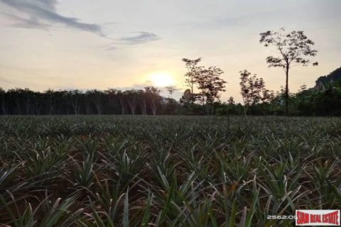 Estudio en Ao Nang, Tailandia № 194042 - foto 5