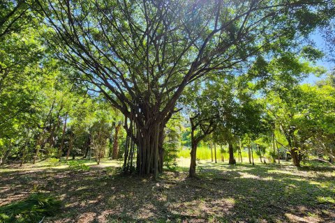 Almacén 1550 m2 en Chiang Mai, Tailandia № 122793 - foto 20
