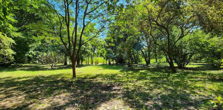 Almacén 1550 m2 en Chiang Mai, Tailandia № 122793