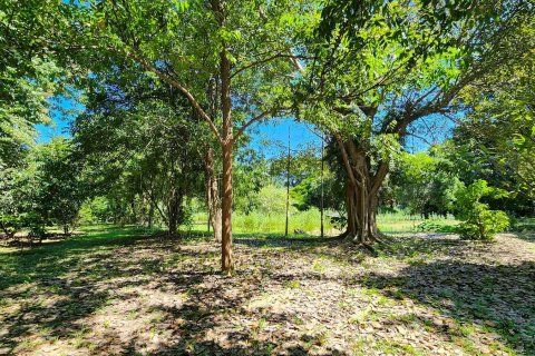 Almacén 1550 m2 en Chiang Mai, Tailandia № 122793 - foto 19