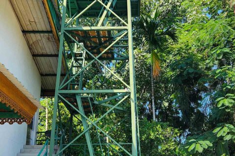 Almacén 1550 m2 en Chiang Mai, Tailandia № 122793 - foto 26
