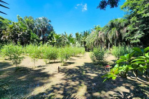 Almacén 1550 m2 en Chiang Mai, Tailandia № 122793 - foto 15