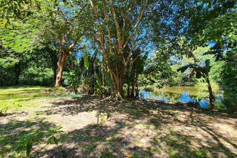 Almacén 1550 m2 en Chiang Mai, Tailandia № 122793 - foto 16