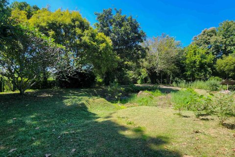 Almacén 1550 m2 en Chiang Mai, Tailandia № 122793 - foto 14
