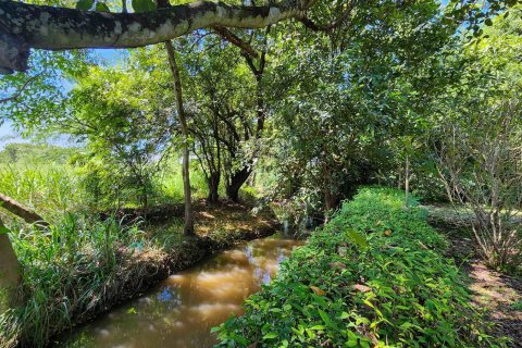 Almacén 1550 m2 en Chiang Mai, Tailandia № 122793 - foto 13